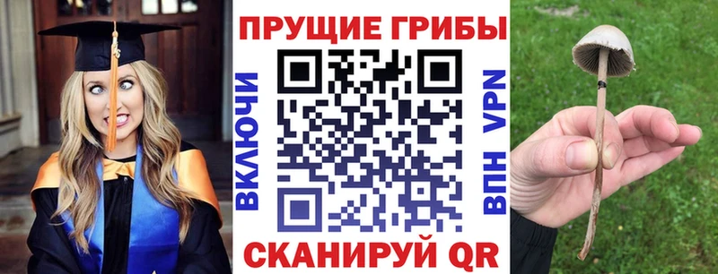 где купить наркоту Дмитриев KRAKEN вход Галлюциногенные грибы мицелий