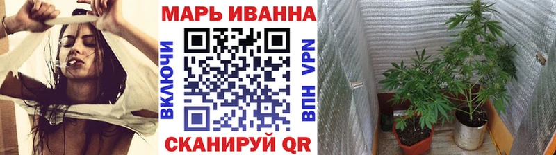 Бошки марихуана ГИДРОПОН  Дмитриев 